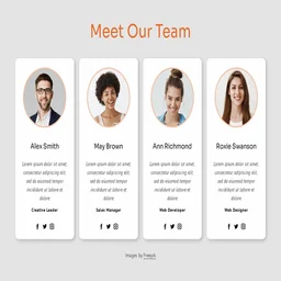 Our Team